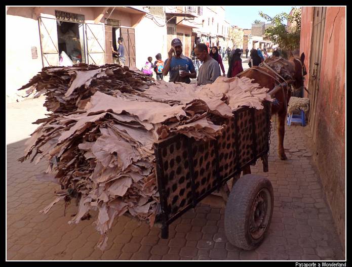 Pieles zoco Marrakech